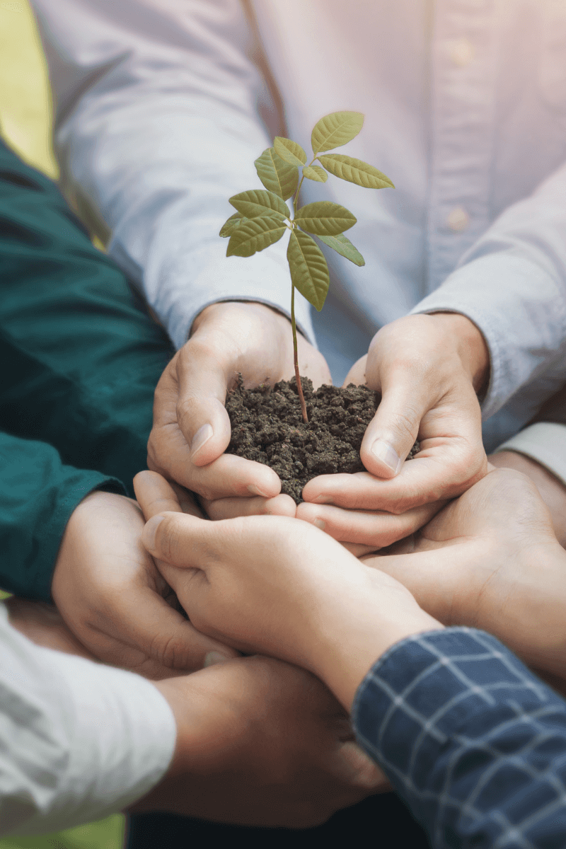 Nonprofit Financial Sustainability: Building a Strong Foundation for Long-Term Impact